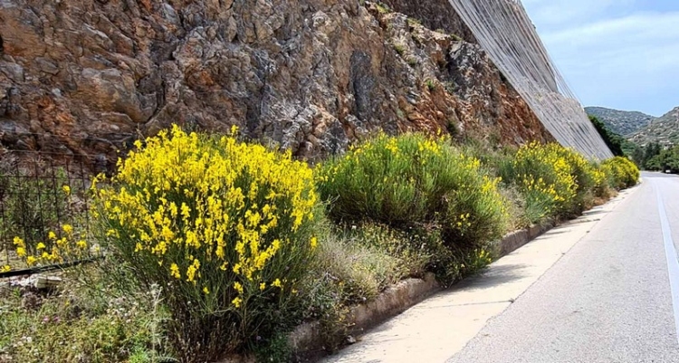 Φωτογραφία στο Anatolh.com