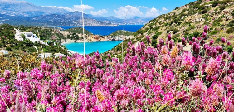 Φωτογραφία στο Anatolh.com
