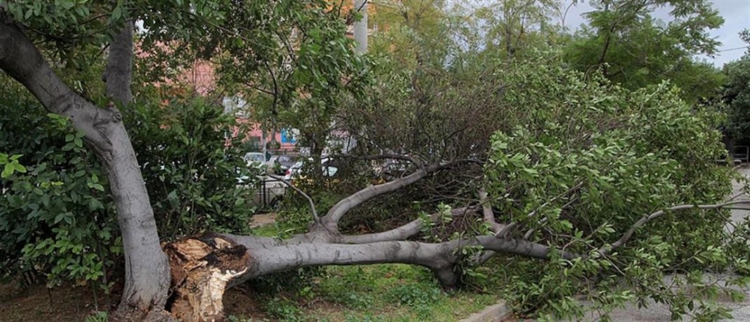 Φωτογραφία στο Anatolh.com