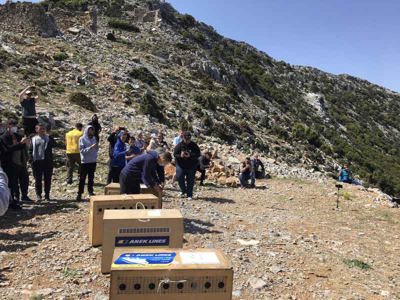 Φωτογραφία στο Anatolh.com