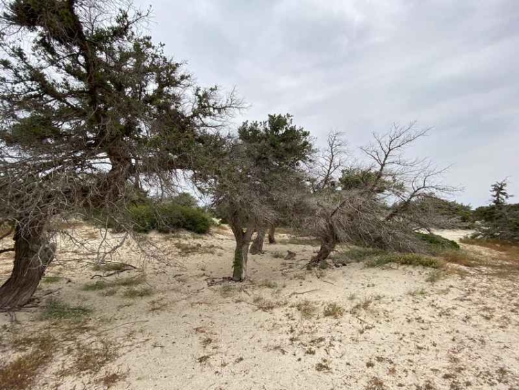 Φωτογραφία στο Anatolh.com