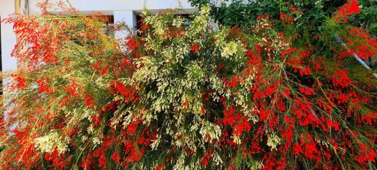 Φωτογραφία στο Anatolh.com