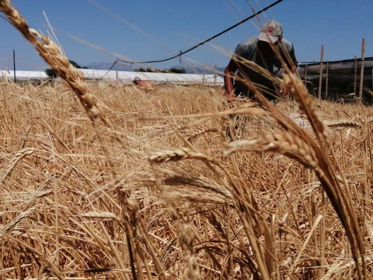 Φωτογραφία στο Anatolh.com