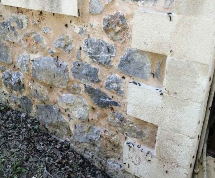 Φωτογραφία στο Anatolh.com