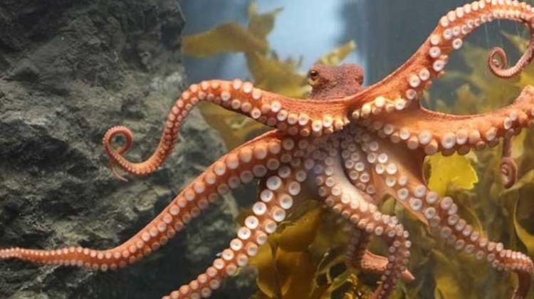 Φωτογραφία στο Anatolh.com