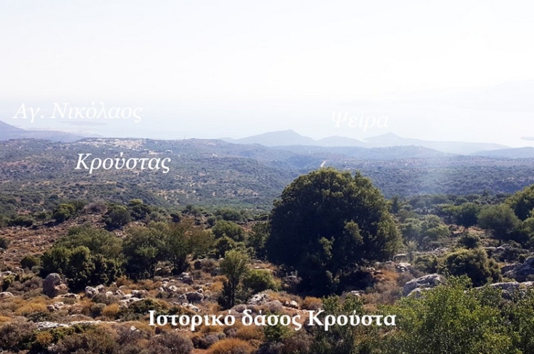 Φωτογραφία στο Anatolh.com