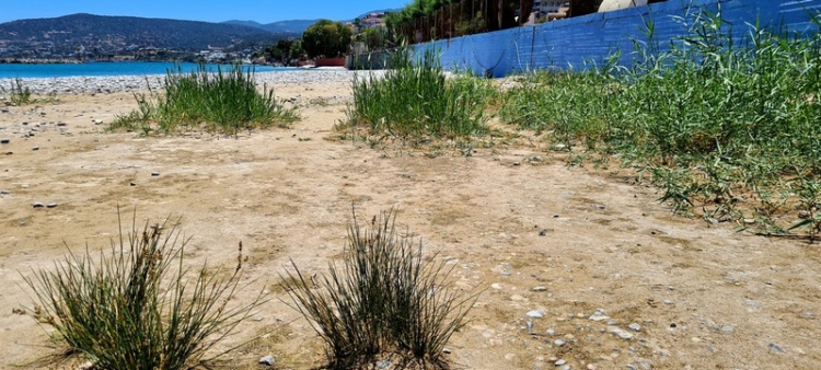 Φωτογραφία στο Anatolh.com