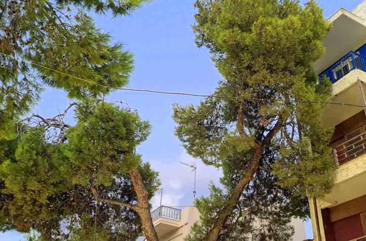 Φωτογραφία στο Anatolh.com