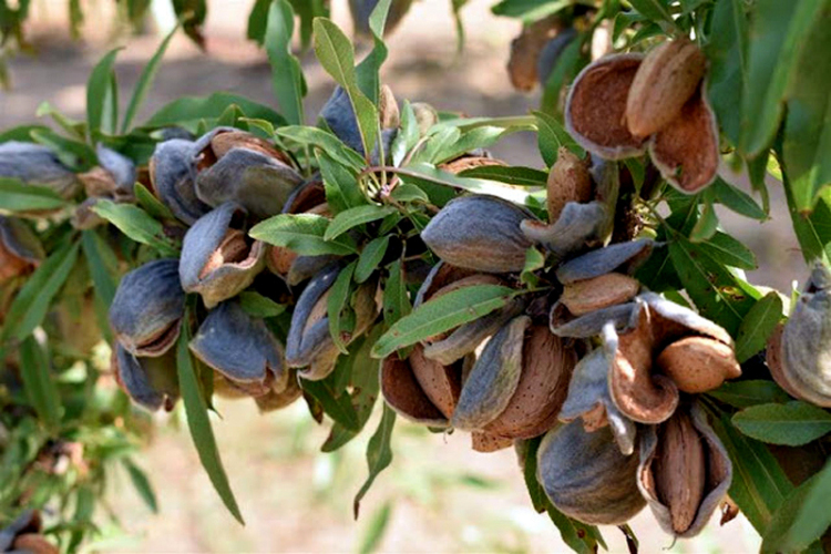 Φωτογραφία στο Anatolh.com