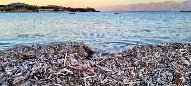 Φωτογραφία στο Anatolh.com
