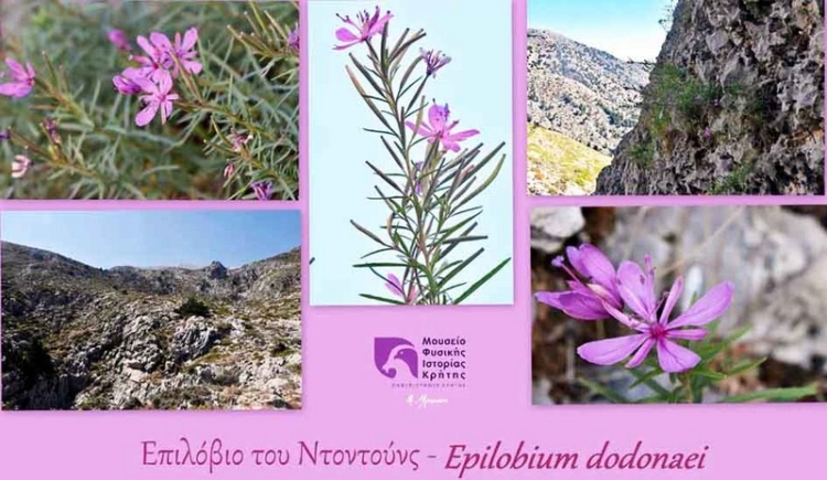 Φωτογραφία στο Anatolh.com