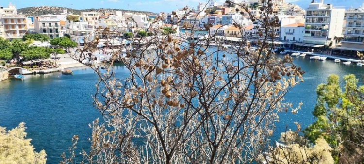 Φωτογραφία στο Anatolh.com