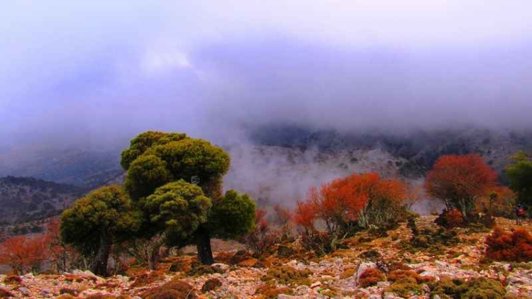 Φωτογραφία στο Anatolh.com