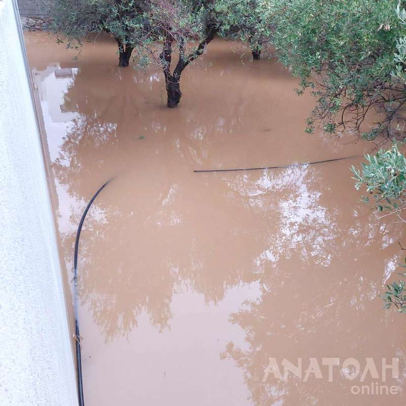 Φωτογραφία στο Anatolh.com