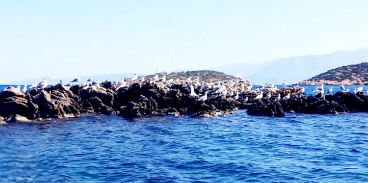 Φωτογραφία στο Anatolh.com
