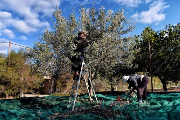 Φωτογραφία στο Anatolh.com