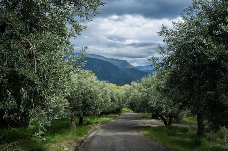 Φωτογραφία στο Anatolh.com