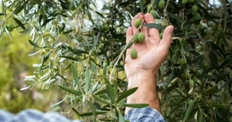 Φωτογραφία στο Anatolh.com