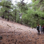 Φωτογραφία στο Anatolh.com