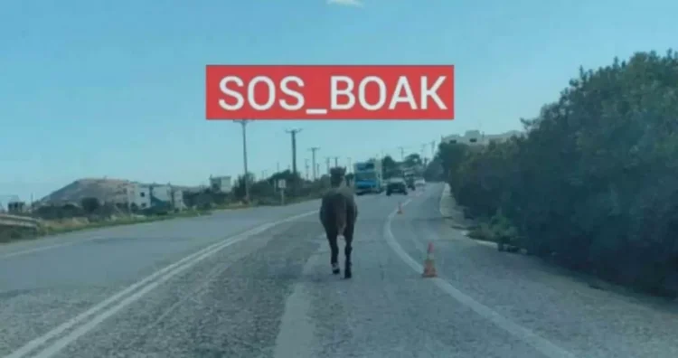 Φωτογραφία στο Anatolh.com