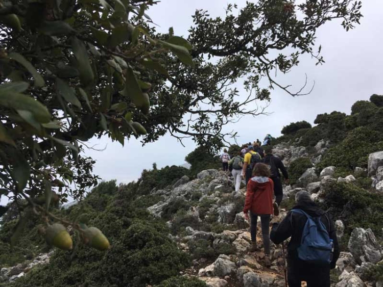 Φωτογραφία στο Anatolh.com
