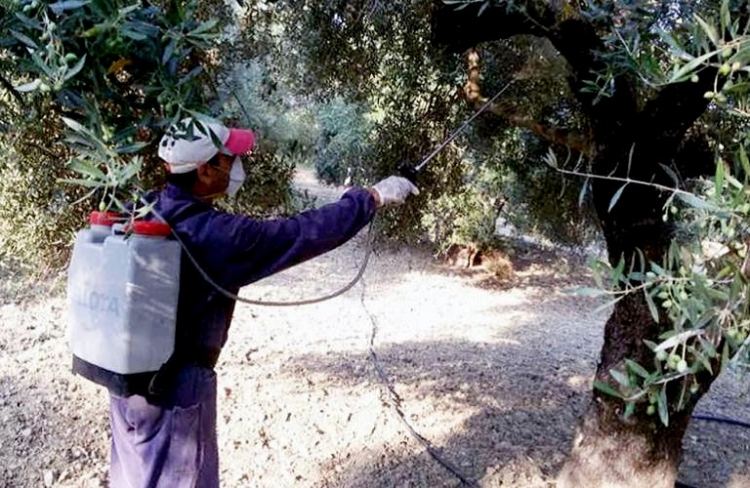 Φωτογραφία στο Anatolh.com