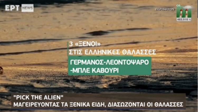 Φωτογραφία στο Anatolh.com