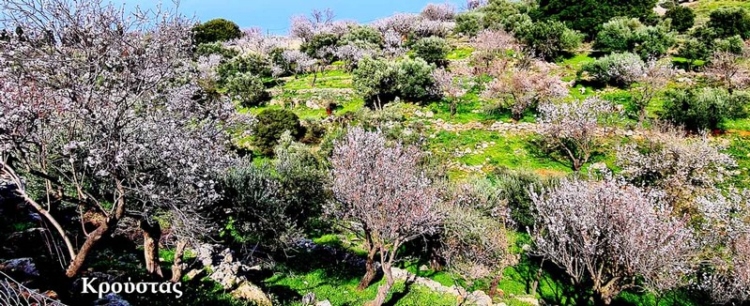 Φωτογραφία στο Anatolh.com
