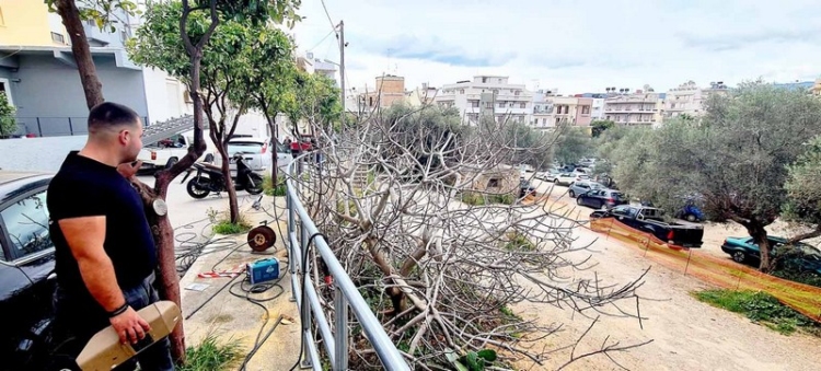 Φωτογραφία στο Anatolh.com