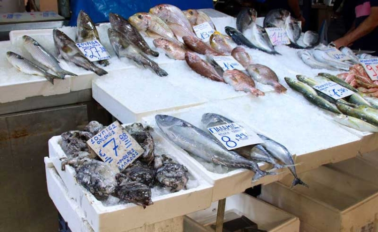 Φωτογραφία στο Anatolh.com