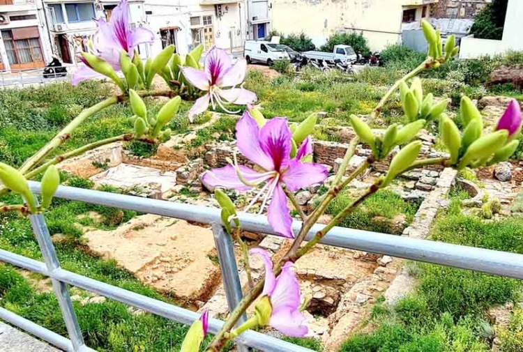 Φωτογραφία στο Anatolh.com