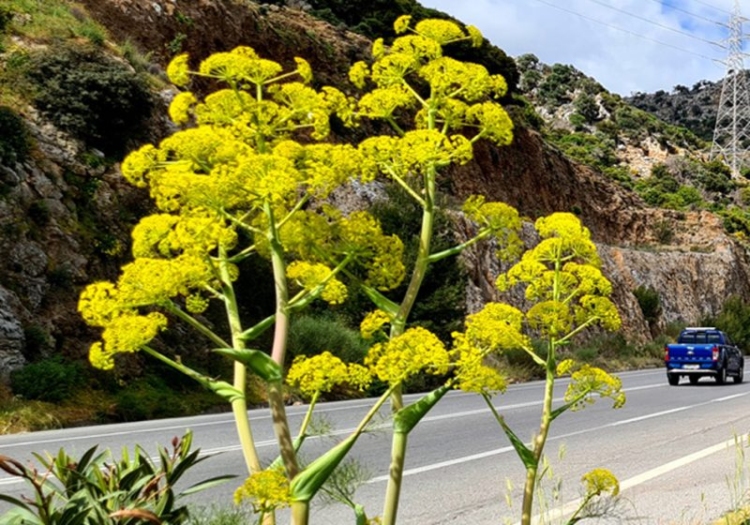 Φωτογραφία στο Anatolh.com