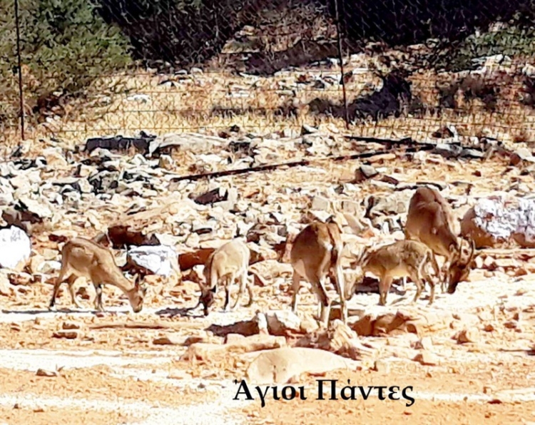 Φωτογραφία στο Anatolh.com
