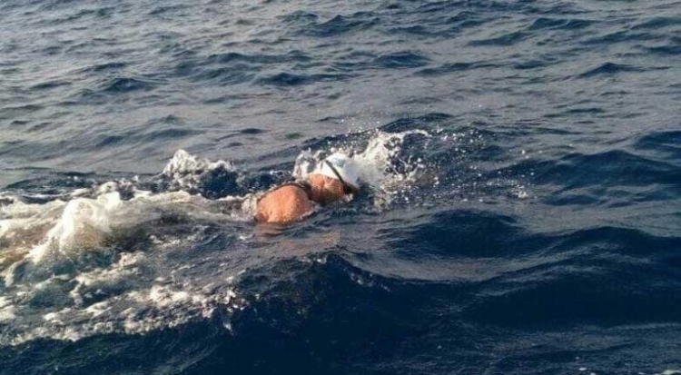 Φωτογραφία στο Anatolh.com