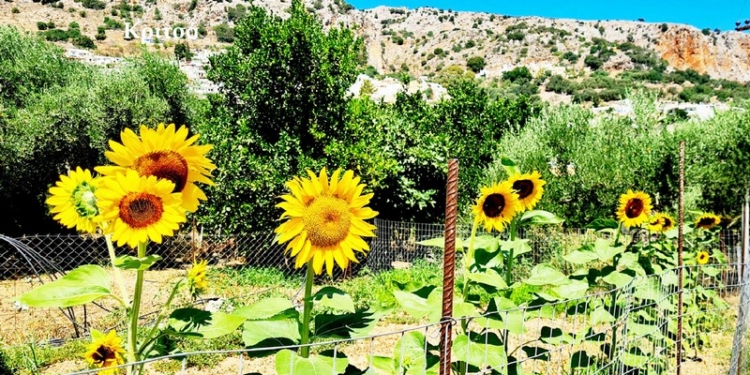 Φωτογραφία στο Anatolh.com