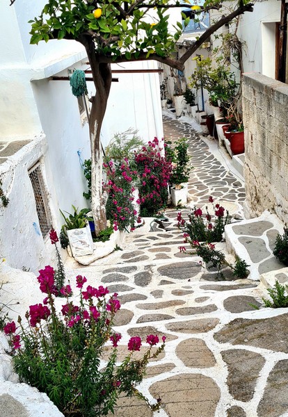 Φωτογραφία στο Anatolh.com