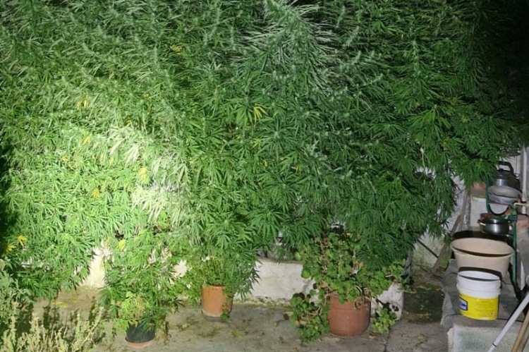 Φωτογραφία στο Anatolh.com