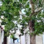 Φωτογραφία στο Anatolh.com