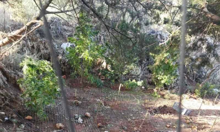 Φωτογραφία στο Anatolh.com
