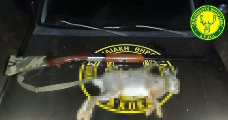 Φωτογραφία στο Anatolh.com