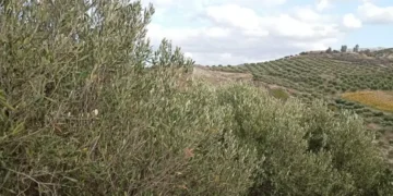 Φωτογραφία στο Anatolh.com