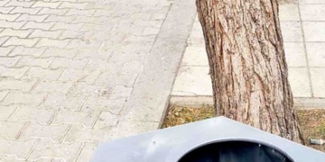 Καλαθάκια απορριμάτων με… πεντακάθαρα τασάκια!