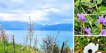 Η ξεχωριστή περιοχή Νόμια του Αγίου Νικολάου