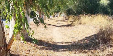 Το φυσιολατρικό μονοπάτι από τα φανάρια Κριτσάς μέχρι τον Αλμυρό