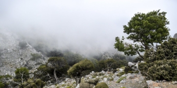 Δύο χρόνια παράταση στο καθεστώς προστασίας των «Απάτητων Βουνών»