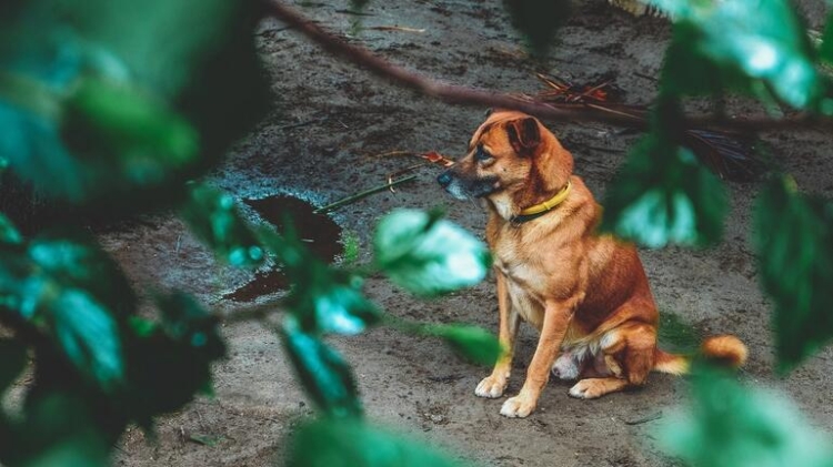 Φωτογραφία στο Anatolh.com