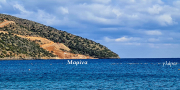 Οι γλάροι του Μεραμπέλλου απολαμβάνουν τη λιακάδα (βίντεο)