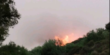 Διαδοχικές πυρκαγιές σημειώνονται σε διάφορες περιοχές του δήμου Σητείας