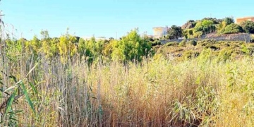 Ο Αλμυρός του Ηρακλείου και ο Αλμυρός του Αγίου Νικόλαου