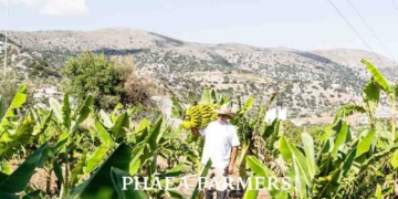 Ξενοδοχειακές επιχειρήσεις του Λασιθίου που υλοποιούν πρόγραμμα «Βιώσιμου Διατροφικού Προορισμού»